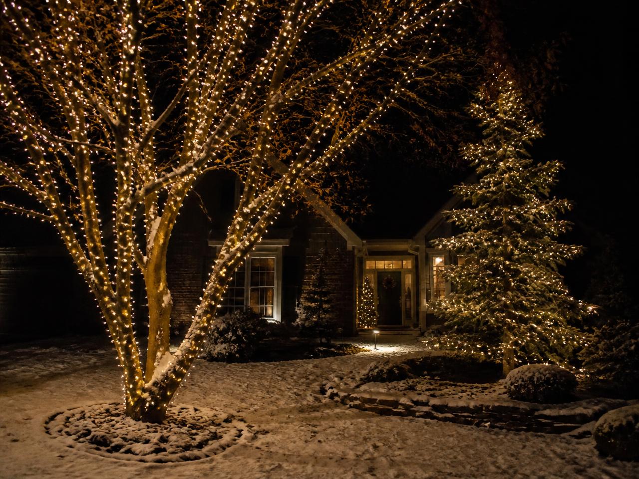 Front-yard maples and evergreens wrapped in warm white minis for full-yard glow.